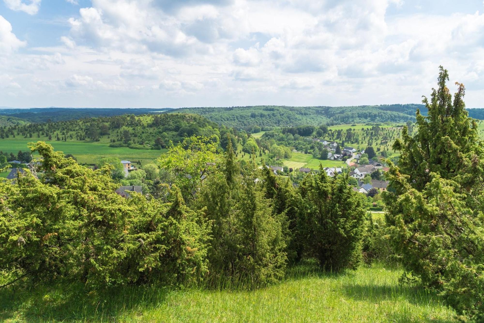 Holzhaus Onkel Fritz Mit Sauna Und Whirlwanne Esch  Dış mekan fotoğraf