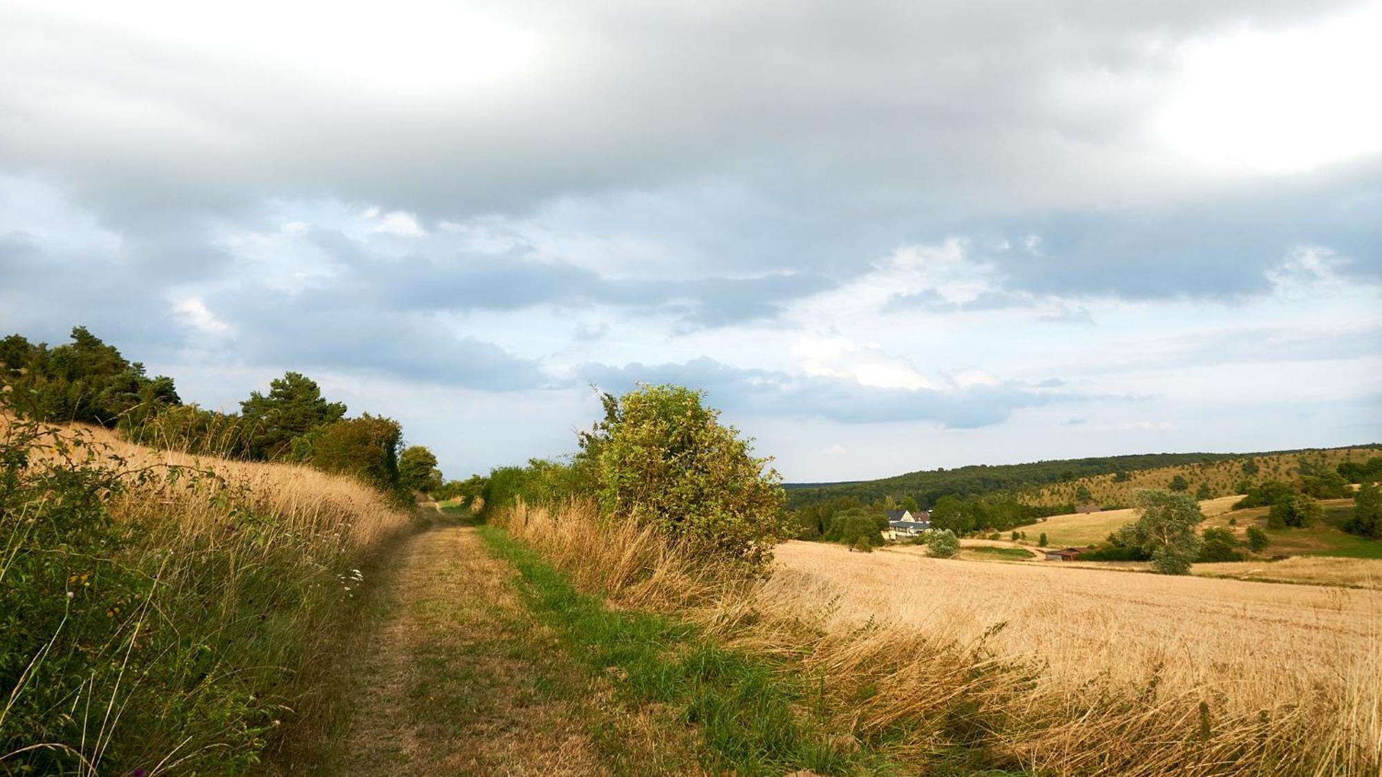 Holzhaus Onkel Fritz Mit Sauna Und Whirlwanne Esch  Dış mekan fotoğraf