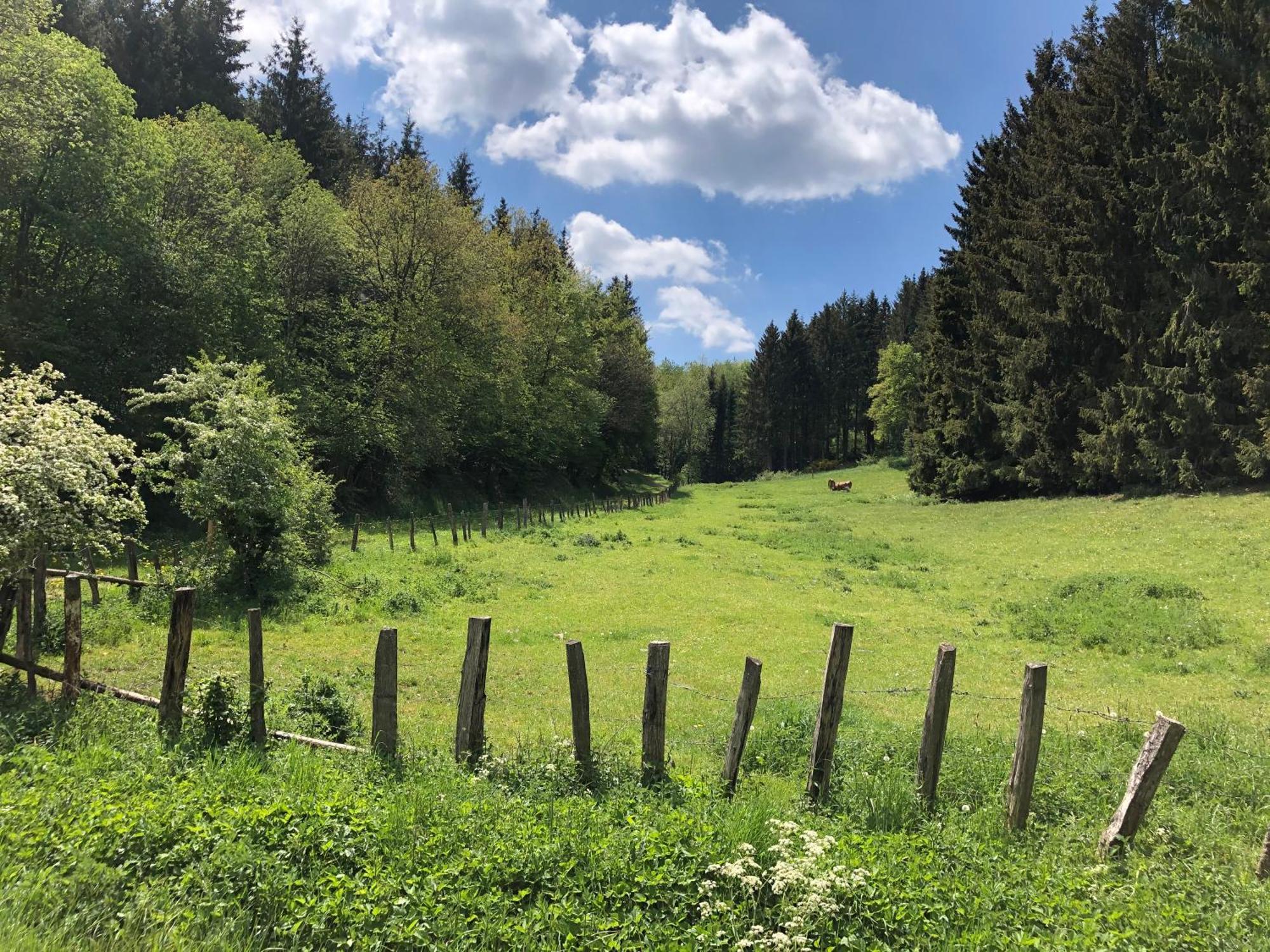Holzhaus Onkel Fritz Mit Sauna Und Whirlwanne Esch  Dış mekan fotoğraf
